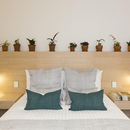 Casa Dovela Apartment Mexico City Ngoại thất bức ảnh