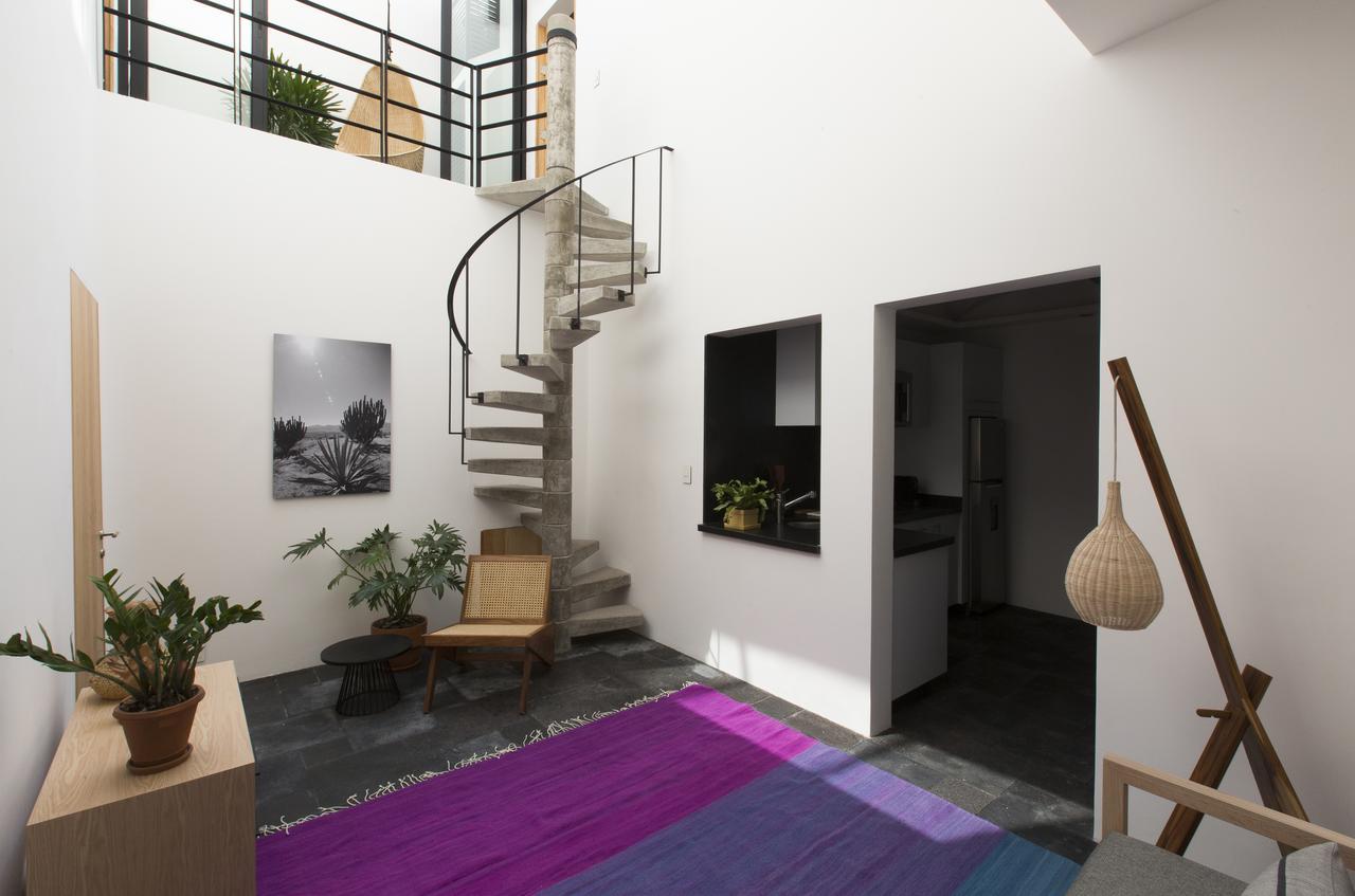 Casa Dovela Apartment Mexico City Ngoại thất bức ảnh