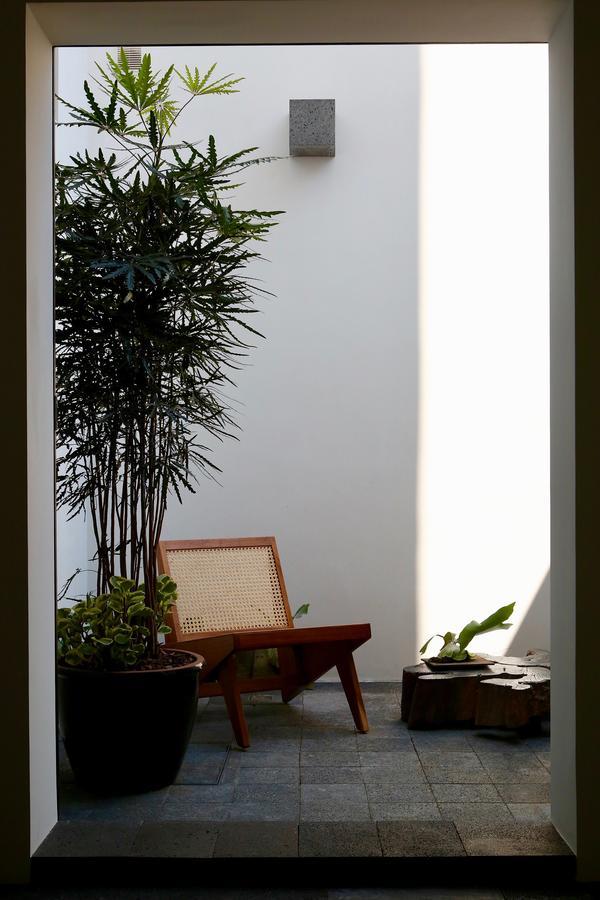 Casa Dovela Apartment Mexico City Ngoại thất bức ảnh